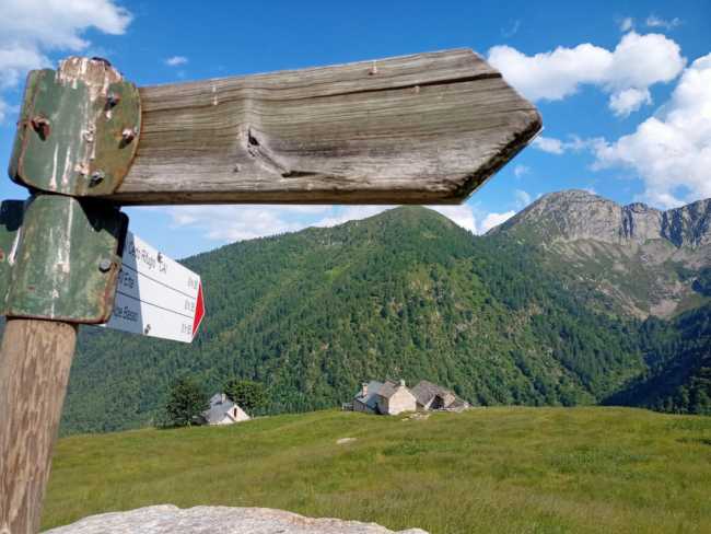 alpe cedo 2 copy 