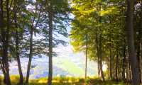 alpe pescia