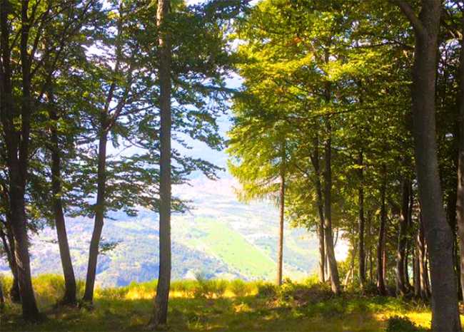 alpe pescia