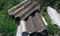 amian