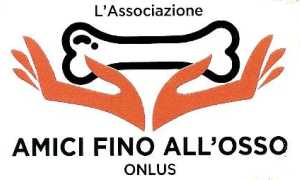 amici osso