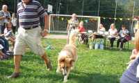 amico cane