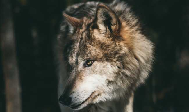 andrew ly iUA1cea8QiY unsplash