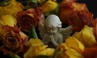 angel 8247102 640