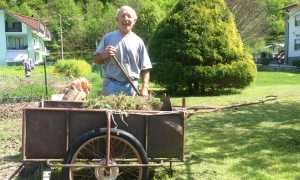 armando borri coragios