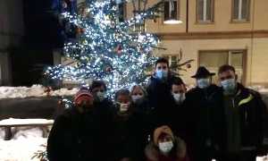 armeno albero