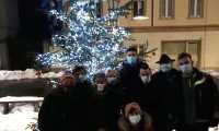 armeno albero