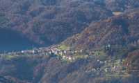 arolapanoramica700