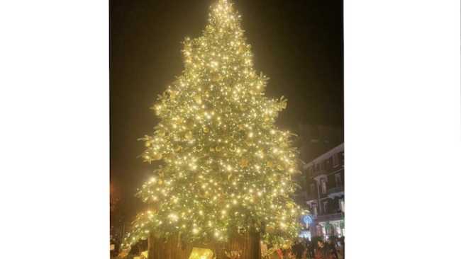 arona albero 2021