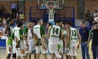 arona basket 24