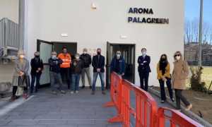 arona palagreen