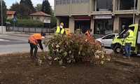 arona rotonda studenti lesa