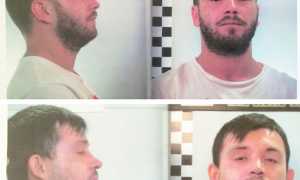 arrestati operazione green