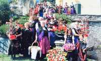 arsciol folk vagna