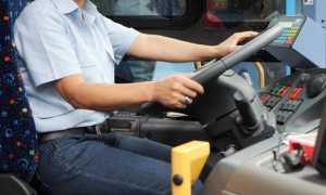 autista bus generico