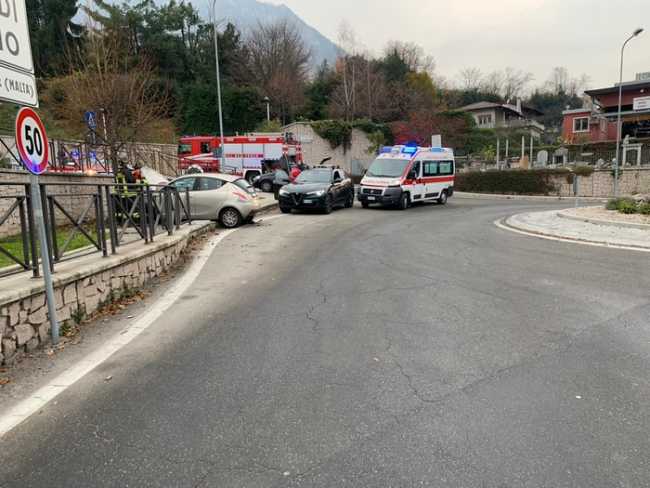 auto albero due