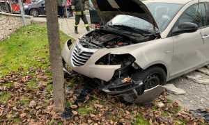 auto albero