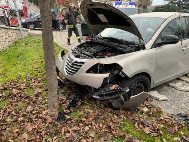 auto albero