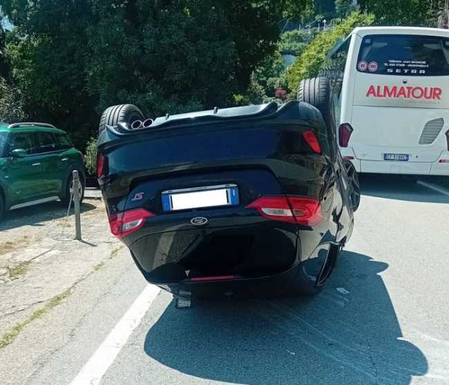auto rib cann