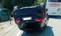auto rib cann