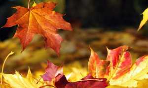 autunno