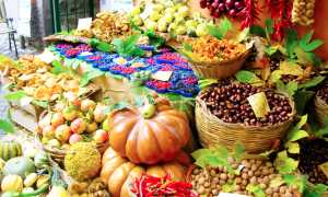 autunno prodotti
