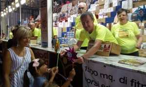 avis banco sanvito