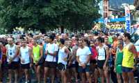 avisina 2015