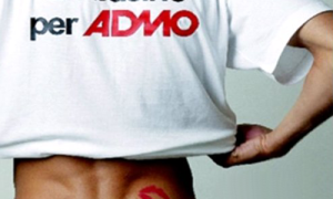 bacino admo