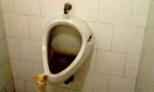 bagni pubblici vb2