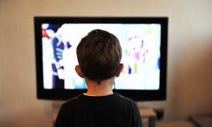 bambino tv