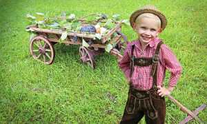 bambino prato frutta