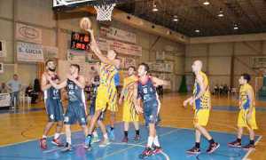 basket domo avanzini