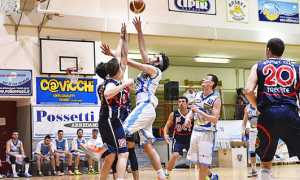 basket domo cipir poli canestro