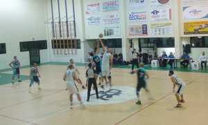 basket domo cirie