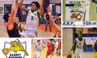 basket domo hidalgo falconi