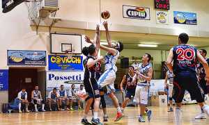 basket domo poli opposti cipir