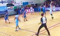 basket poli cipir bra