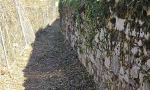 baveno ripulito
