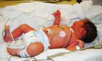 bebe culla