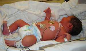 bebe pannolino culla