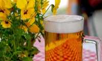 beer 3378136 640