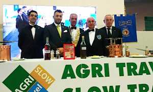 beltrami amira dromedario