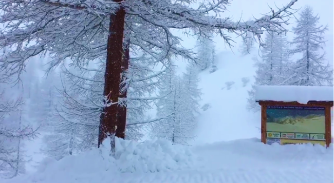 belvedere neve cartello mar 18