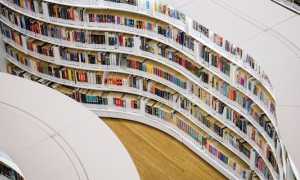 biblioteca foto 2