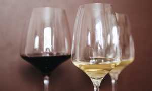 bicchieri vino beverage tasting