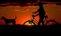 bici donna