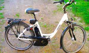 bici elettrica