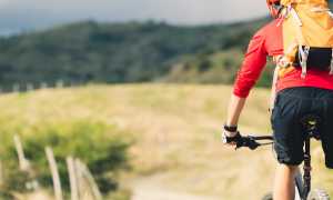 bici