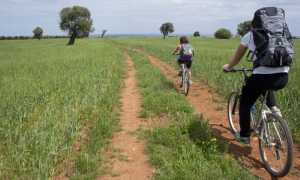 bici